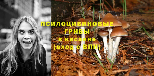 молекула духа Кодинск