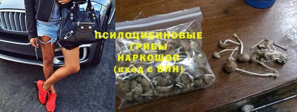 молекула духа Кодинск
