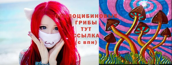 марки lsd Козельск